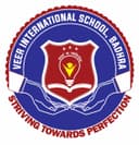 Veer International School